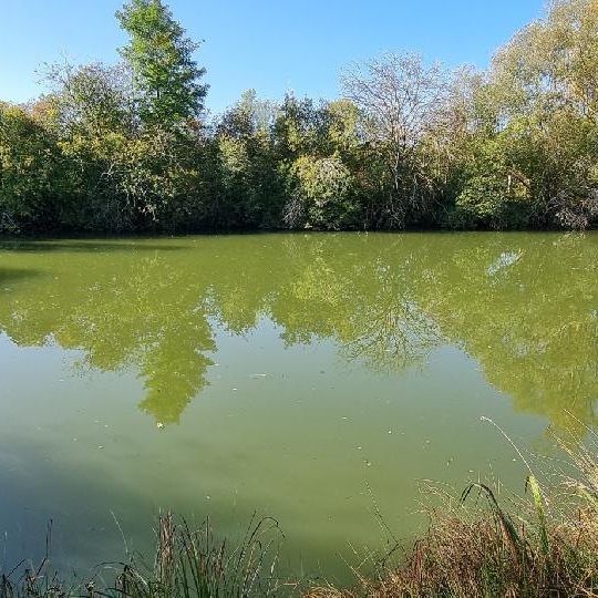  BIEN CHEZ VOUS : Terrain | CUY (89140) | 6 000 m2 | 79 000 € 