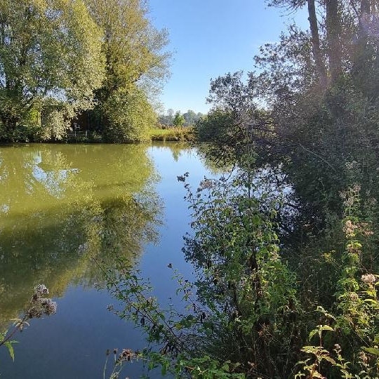  BIEN CHEZ VOUS : Terrain | CUY (89140) | 6 000 m2 | 79 000 € 
