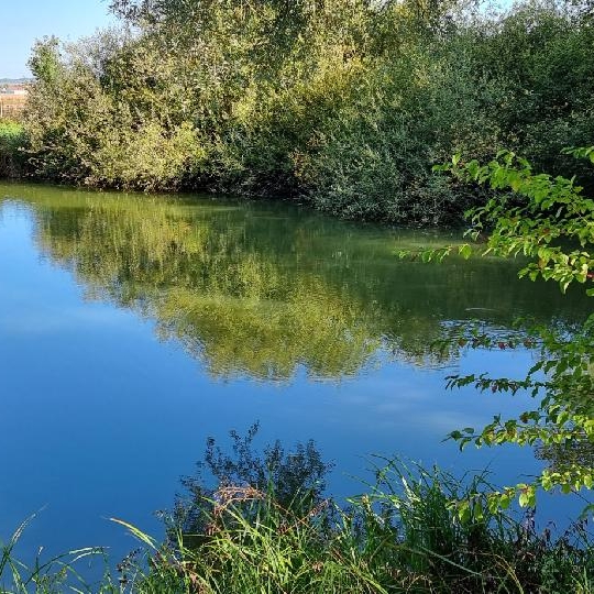  BIEN CHEZ VOUS : Terrain | CUY (89140) | 6 000 m2 | 79 000 € 