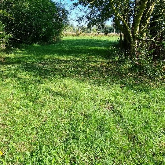  BIEN CHEZ VOUS : Terrain | CUY (89140) | 6 000 m2 | 79 000 € 