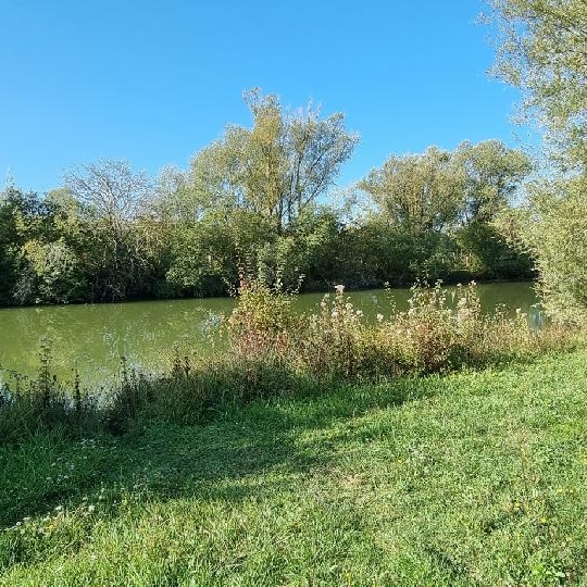  BIEN CHEZ VOUS : Terrain | CUY (89140) | 6 000 m2 | 79 000 € 