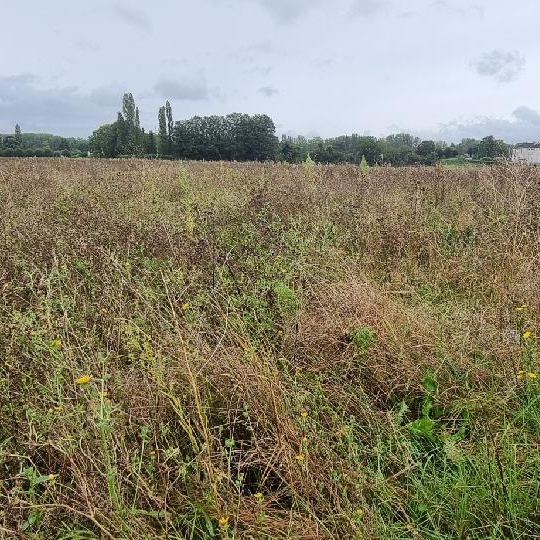  BIEN CHEZ VOUS : Terrain | COURLON-SUR-YONNE (89140) | 1 250 m2 | 37 500 € 