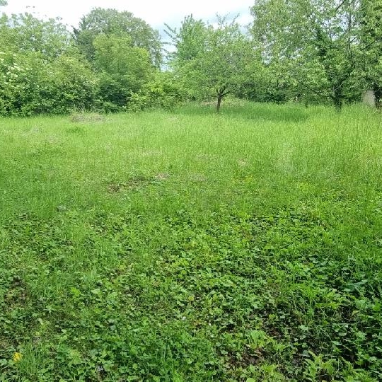  BIEN CHEZ VOUS : Maison / Villa | CHAMPIGNY (89340) | 62 m2 | 82 000 &euro; 
