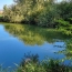  BIEN CHEZ VOUS : Terrain | CUY (89140) | 6 000 m2 | 79 000 € 