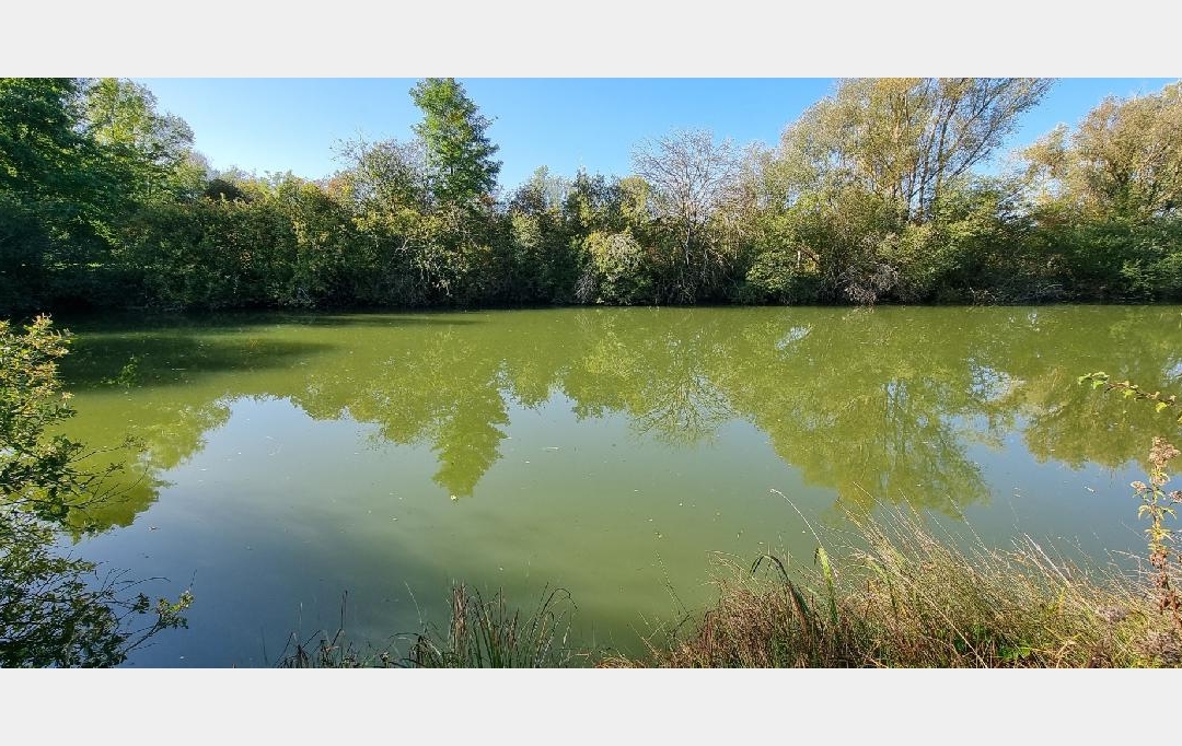 BIEN CHEZ VOUS : Terrain | CUY (89140) | 6 000 m2 | 79 000 € 