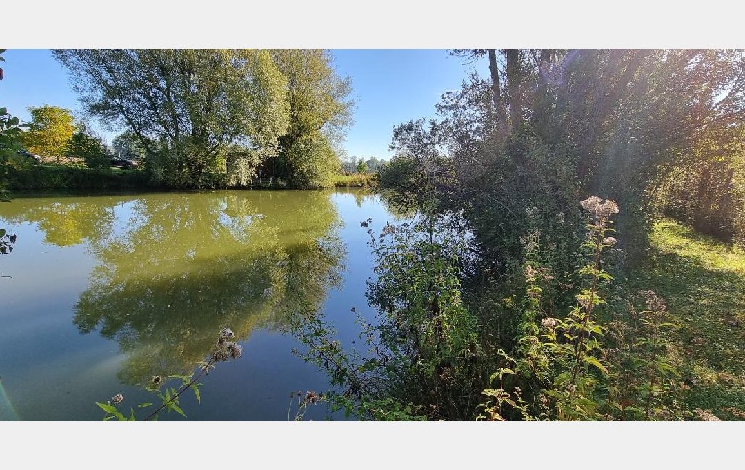 BIEN CHEZ VOUS : Terrain | CUY (89140) | 6 000 m2 | 79 000 € 