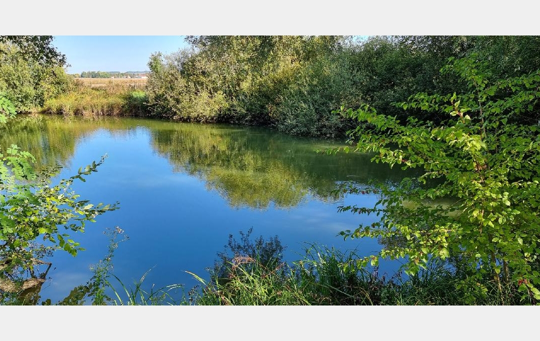 BIEN CHEZ VOUS : Terrain | CUY (89140) | 6 000 m2 | 79 000 € 
