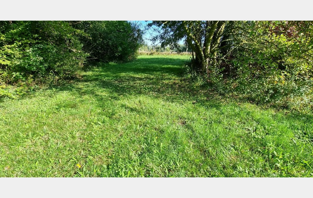 BIEN CHEZ VOUS : Terrain | CUY (89140) | 6 000 m2 | 79 000 € 