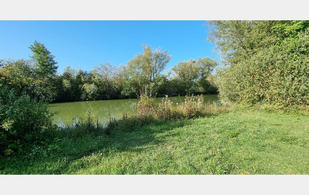 BIEN CHEZ VOUS : Terrain | CUY (89140) | 6 000 m2 | 79 000 € 