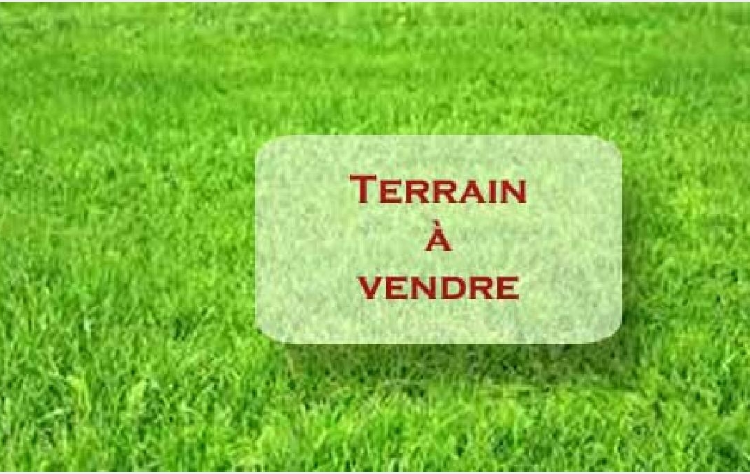 BIEN CHEZ VOUS : Ground | PLESSIS-SAINT-JEAN (89140) | 770 m2 | 18 000 &euro; 